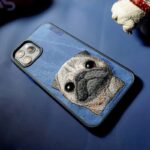 WQ G41H P53H 1728301562473 abzhpuccj88mrnv 1